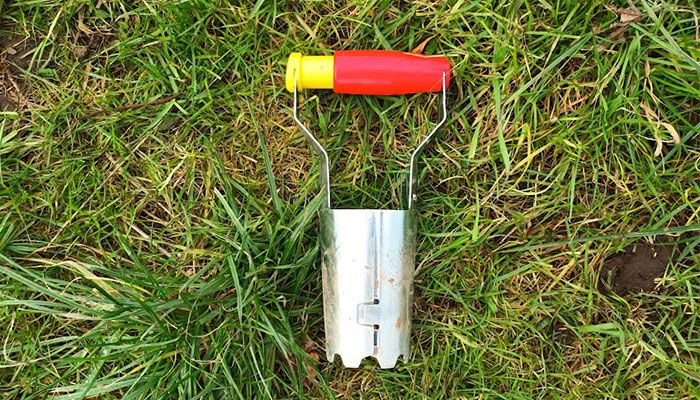 7 Best Bulb Planter Tools Tested 2024 Review UK