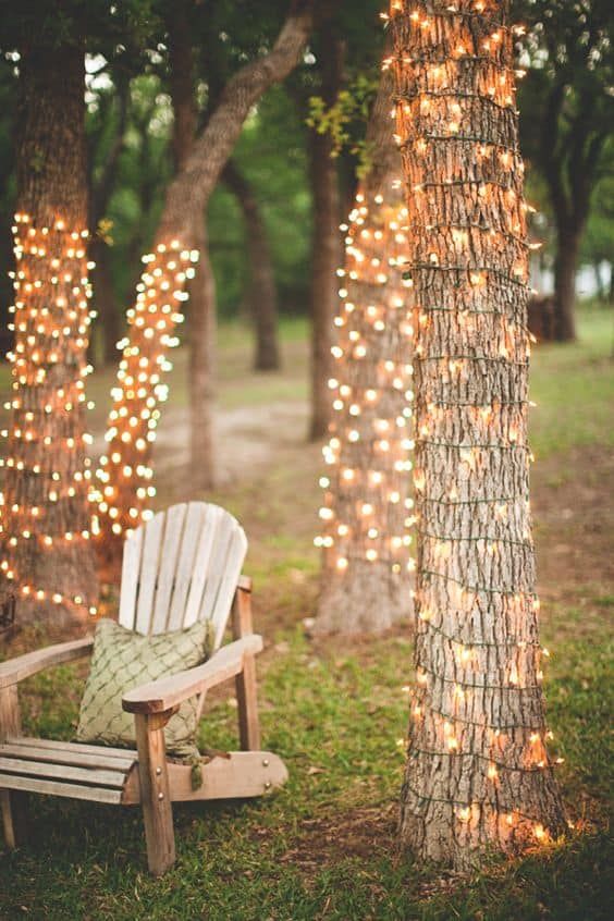 fairy-lights-for-outdoor-trees