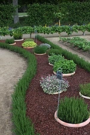 herb garden edging ideas
