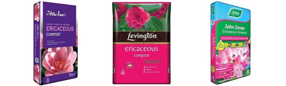 ericaceous-compost