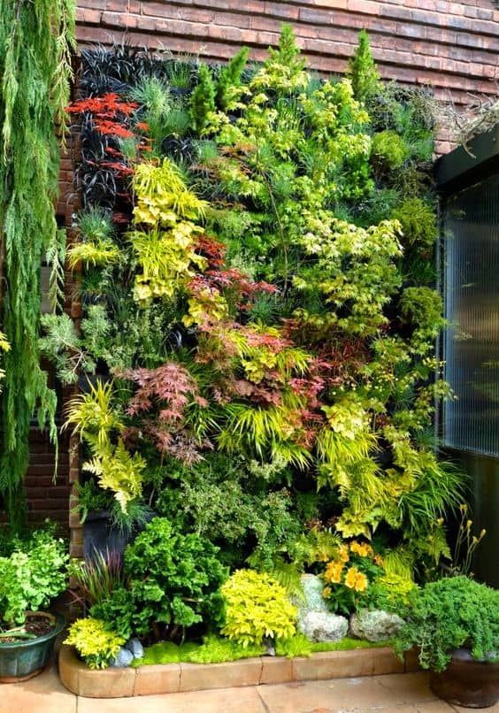 vertical wall garden