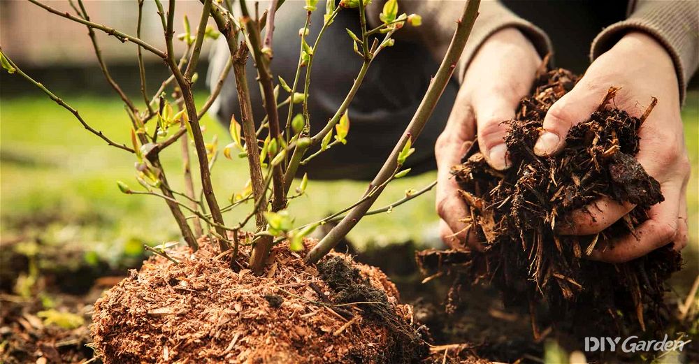 The Ultimate Guide to Mulching & Why Your Garden Loves It!