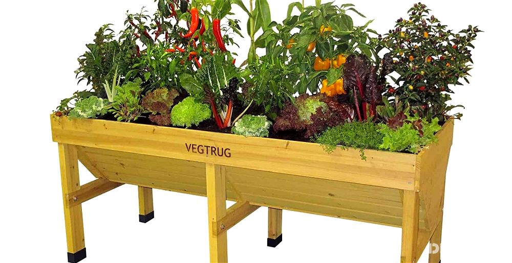 VegTrug review