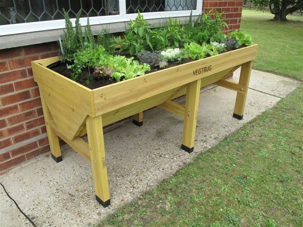 vegtrug in garden