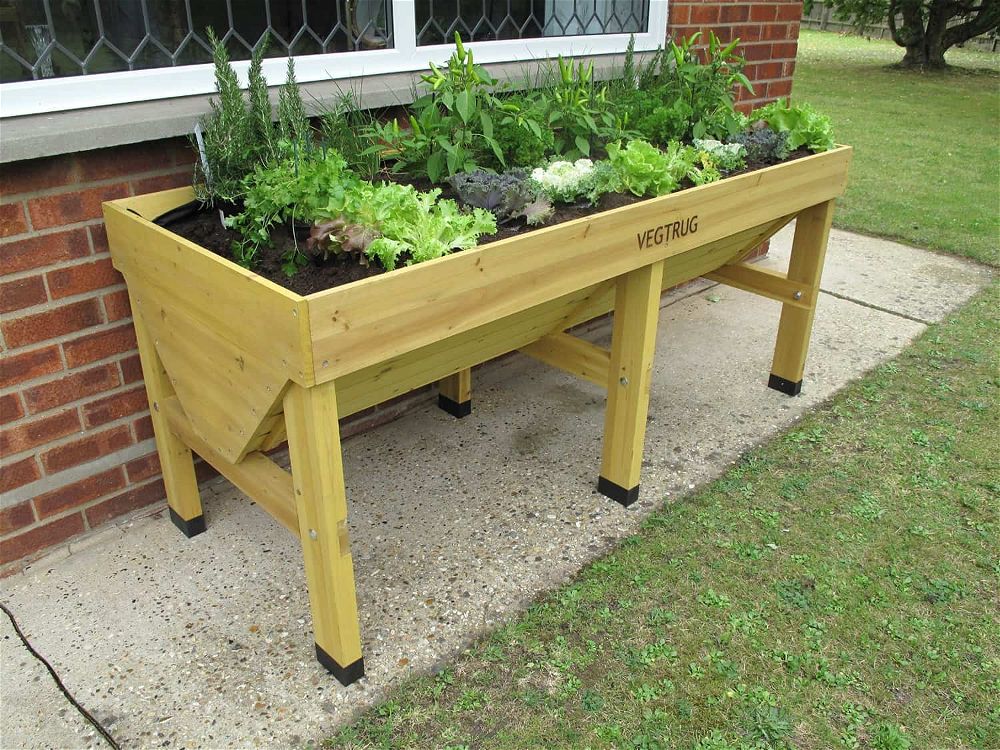 VegTrug Review: The Easiest Way to Grow Vegetables at Home?