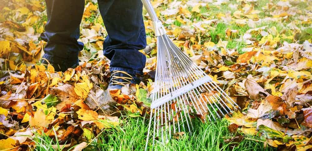 gardener-raking-leaves-in-autumn-e1489758001321