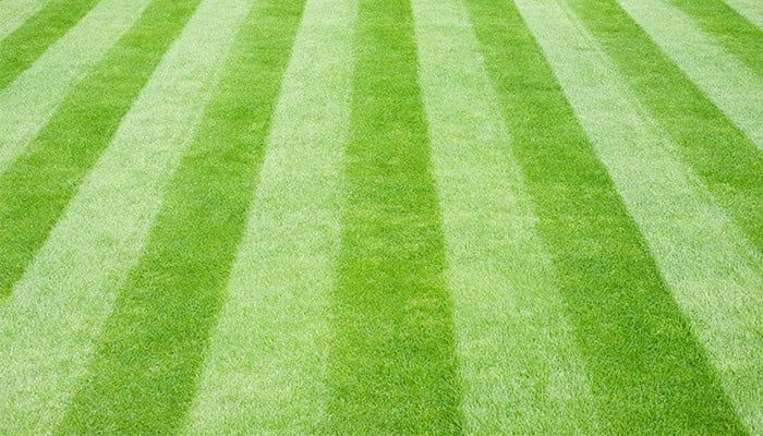 monthly-lawn-care-guide-header-2