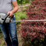 The Best Hedge Trimmers