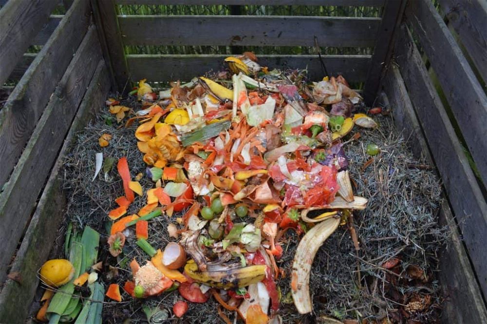 what can i compost