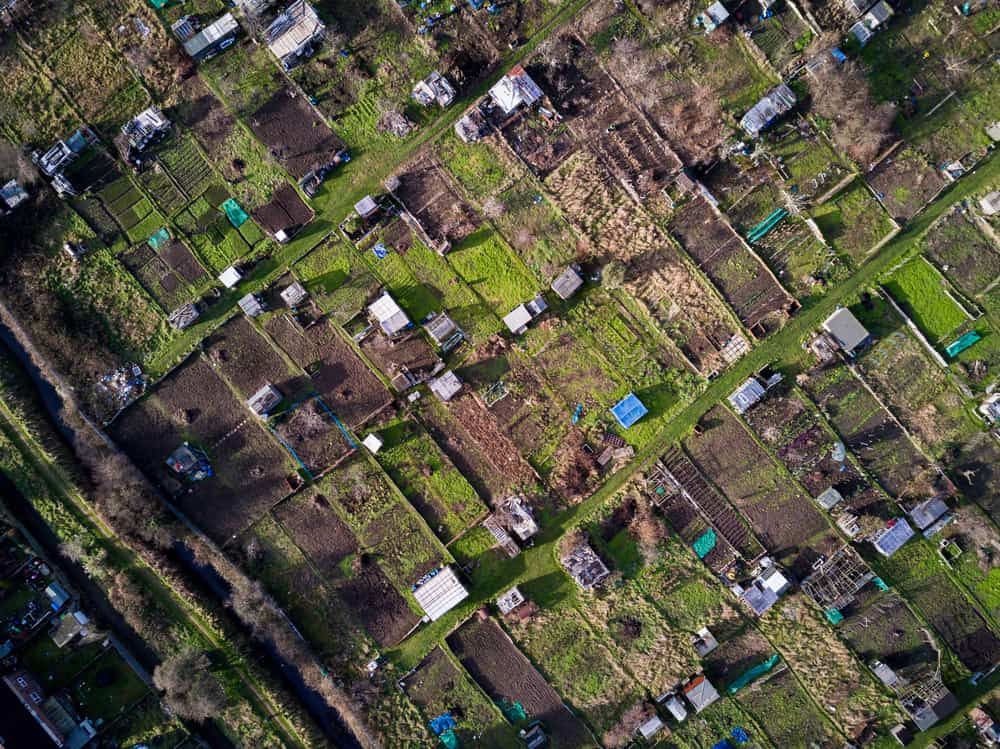 allotment birdseye view