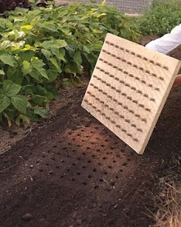 seed planting board