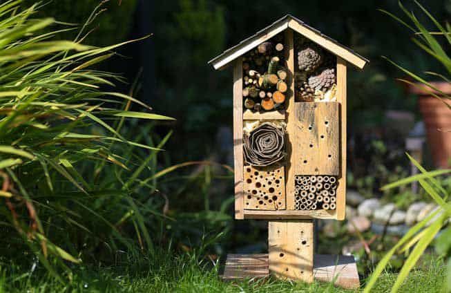 bee hotel