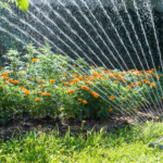The Best Garden Sprinklers