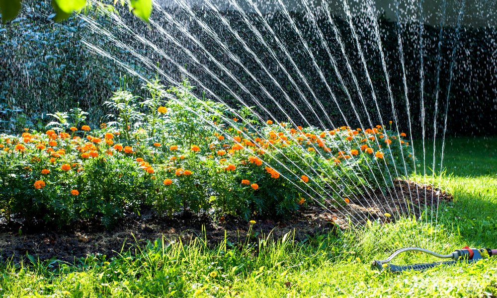 The Best Garden Sprinklers