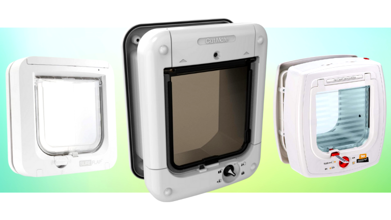 Image showcasing 5 Best Microchip Cat Flaps: For Your Home (2026 Review)