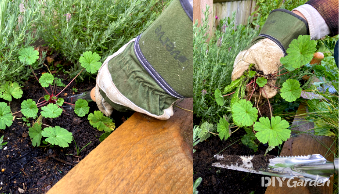 Garden Tools Multifunctional Manual Weeder before and after