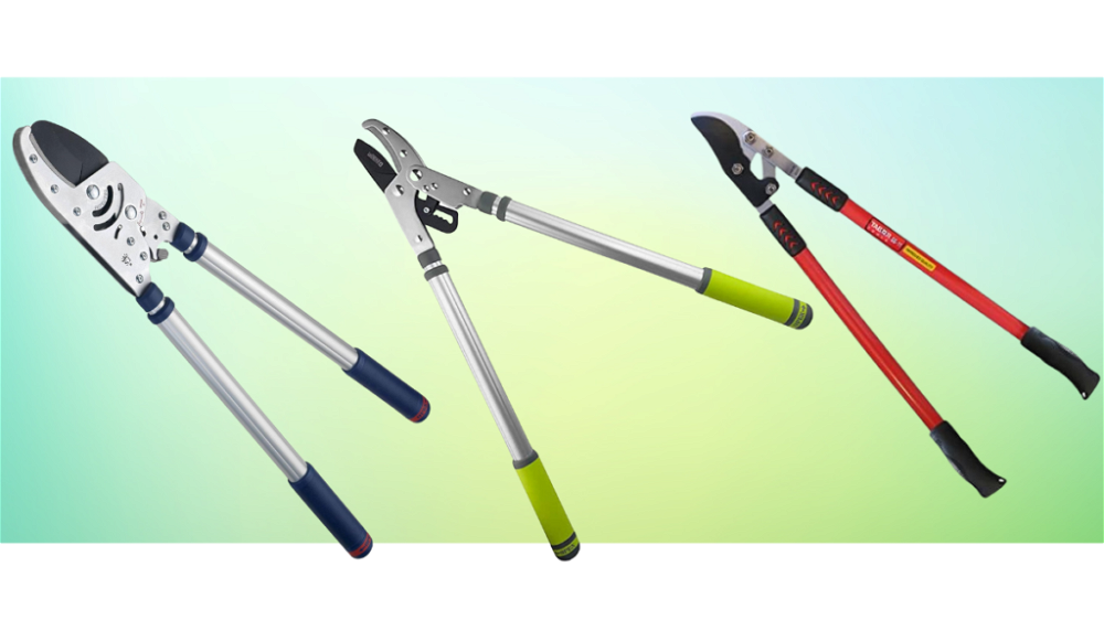 10 Best Garden Loppers for Trees & Branches (2024 Review UK)
