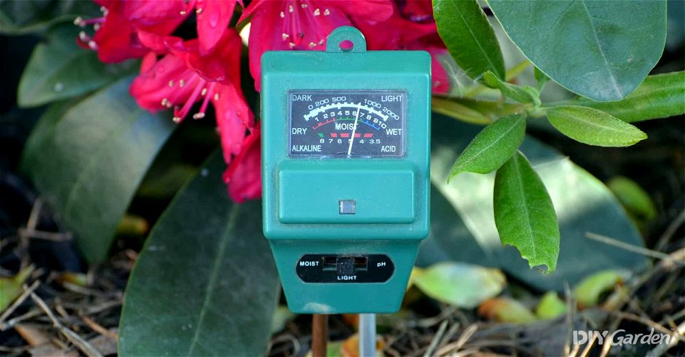 4 Best Soil Testing Kits (for pH Acidity, Moisture & Light)