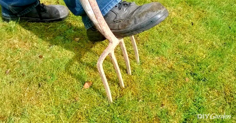 4 Best Garden Forks For Digging & Borders (2024 Review UK)