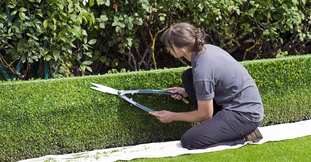 1 Pair Of Handle Precision Cutter Garden Grass Hedge Scissors New 2020 