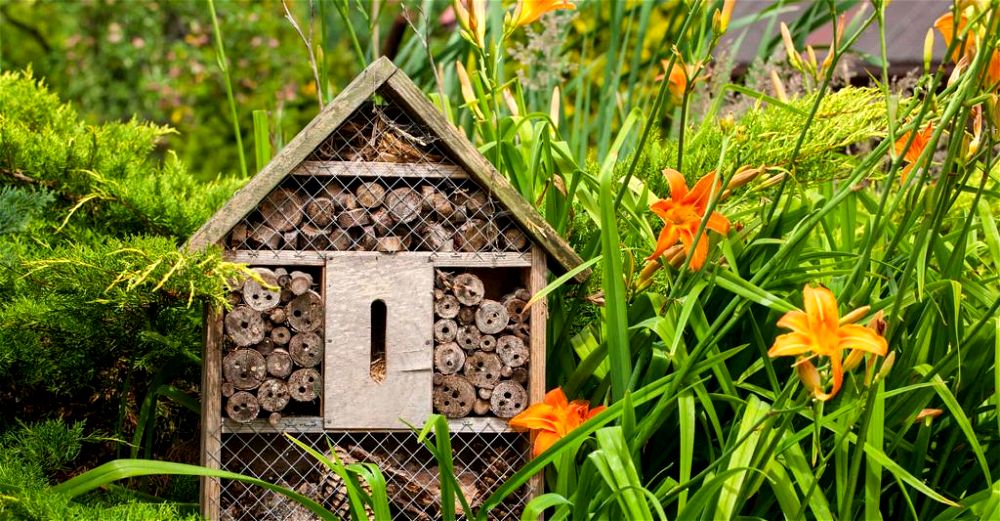 How To Build A Bug Hotel! | DIY Garden