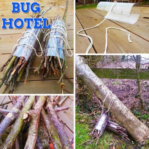 plastic bottle bug hotel