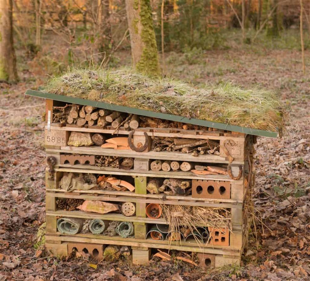 insect hotel