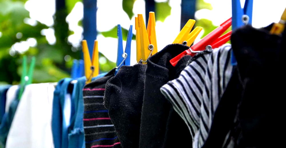 7 Best Rotary Washing Lines For Your Garden (2024 Review UK)