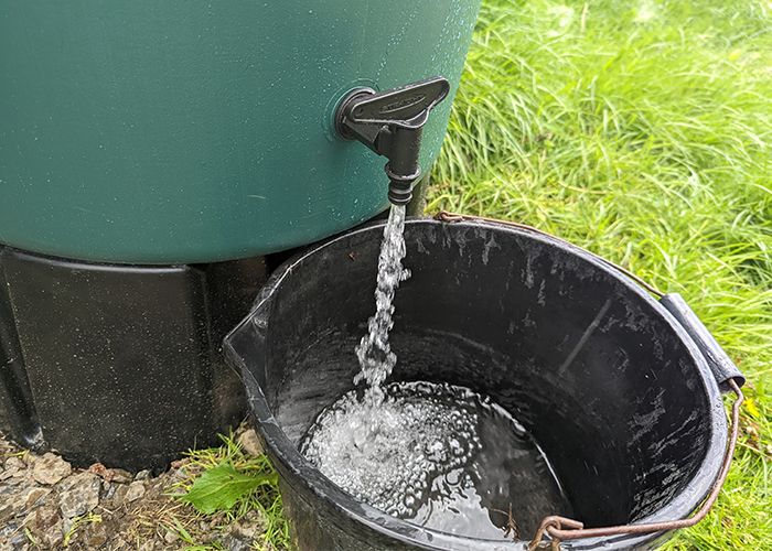 5 Best Water Butts For Your Garden: Tested (2024 Review UK)