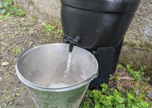 5 Best Water Butts For Your Garden: Tested (2024 Review UK)