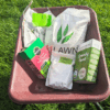 best grass seed products tested and reviewed