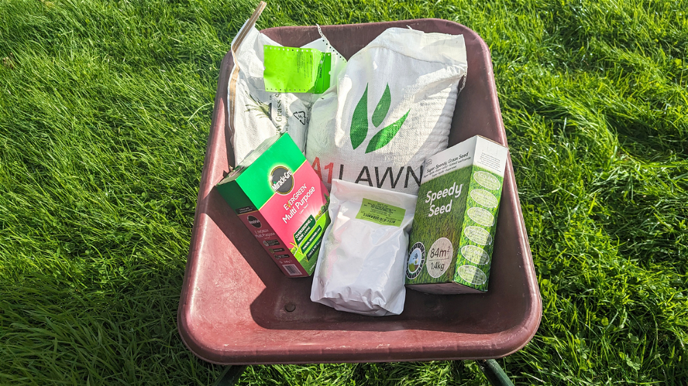 best grass seed products tested and reviewed