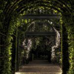 best garden arch