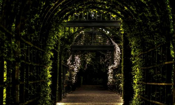 best garden arch