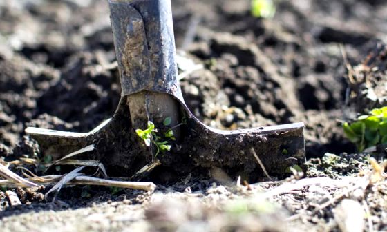garden-shovel