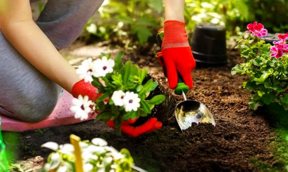 best-garden-kneeler
