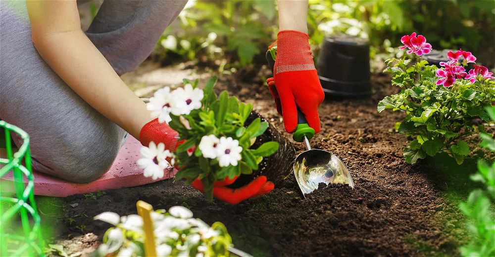 5 Best Gardening Trousers for Men and 