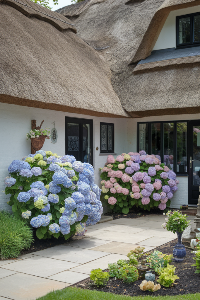 37. A Garden with Hydrangea Clusters