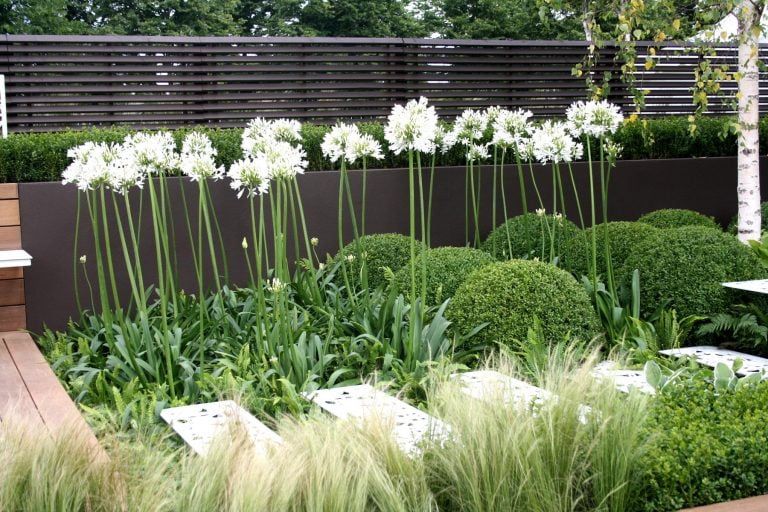30 Simple Front Garden Ideas UK (Cheap & Low Maintenance)