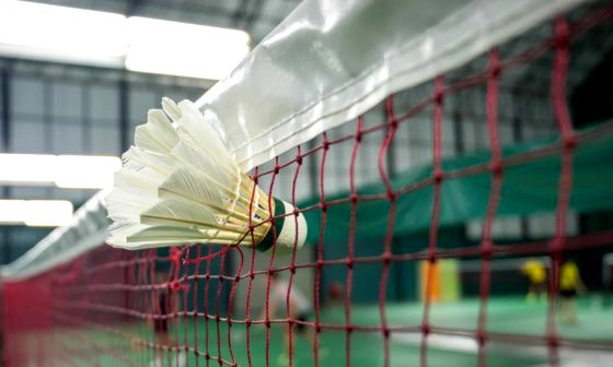 badminton-net