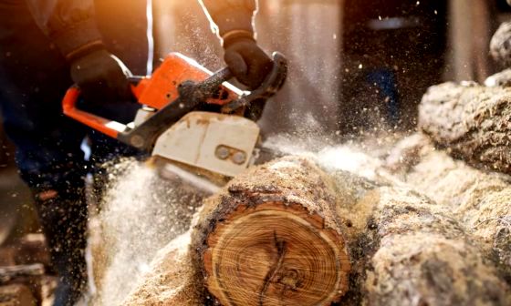 chainsaw-safety-boots