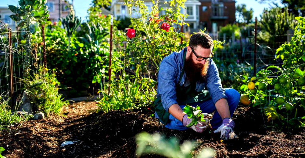 Starting An Allotment The Ultimate Beginners Guide 2022