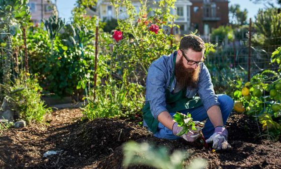 5 Best Gardening Trousers for Men and 