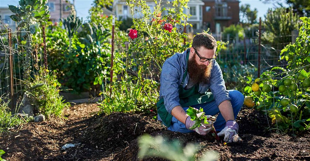 5 Best Gardening Trousers for Men and 