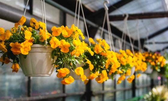 artificial-hanging-basket