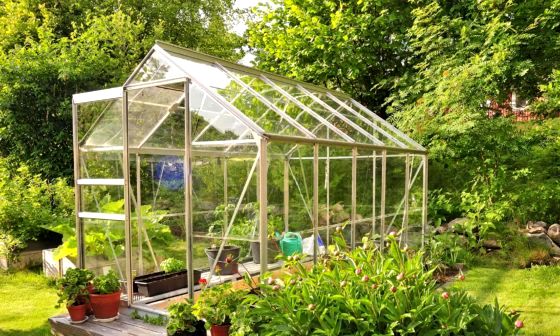 greenhouse