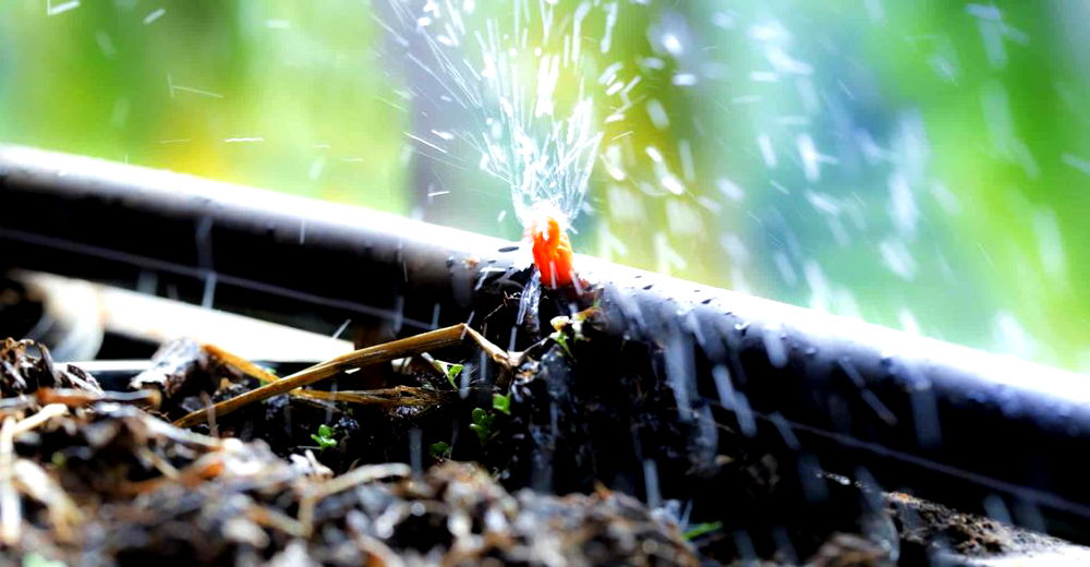 5 Best Greenhouse Heaters to Buy (2022 Review UK)