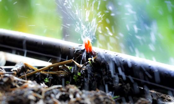 greenhouse watering system
