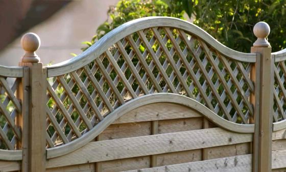 best-fence-trellis