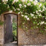 best-garden-gates